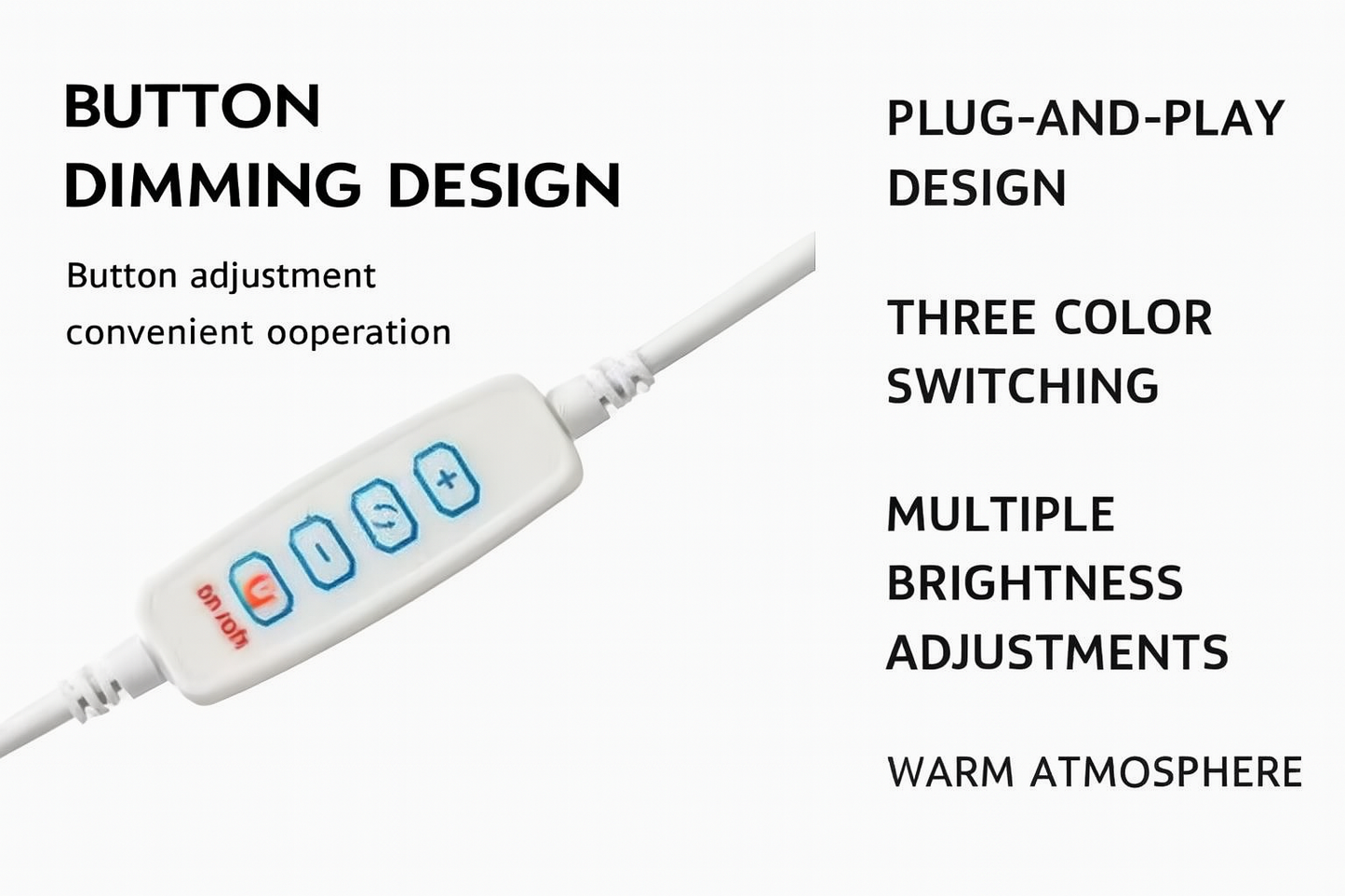 Illuminated pet portrait