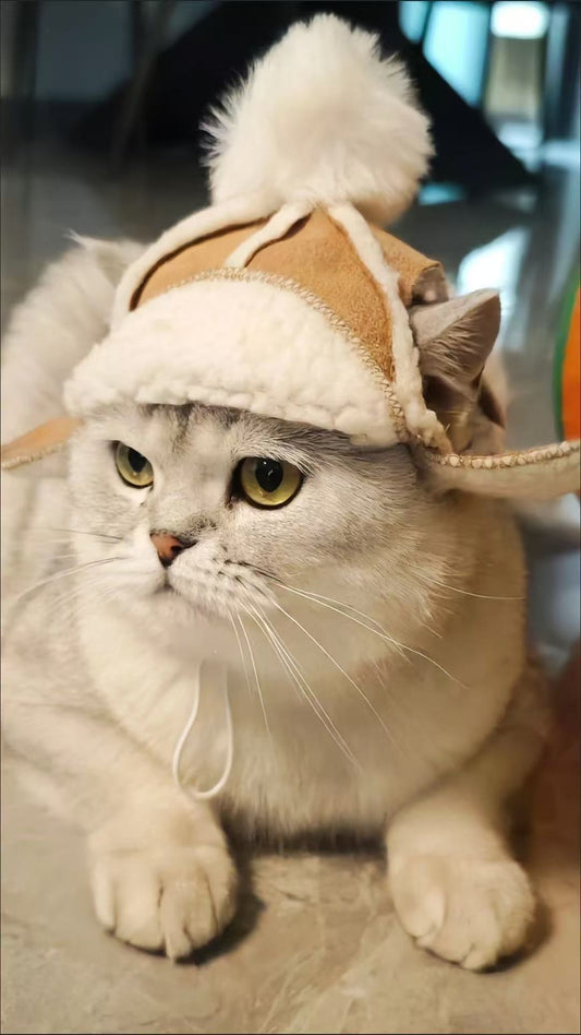 Cozy Sherpa Aviator Hat for Pets